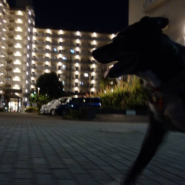 Cc057e58 3363 4b21 a36e a6e1c0071f2a 1729422505208