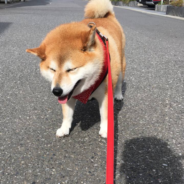 Cc0580d1 178e 4b5a 83a4 cb2500ee89c1 1593905717895