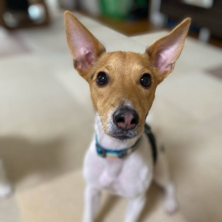 Cc05a2f7 fd75 4716 83e8 8d2ade8eed7d 1767163743278