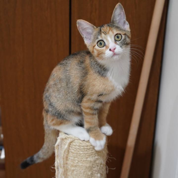 Cc05c485 257b 4554 ba9c 5ff775da2a16 1569541594169