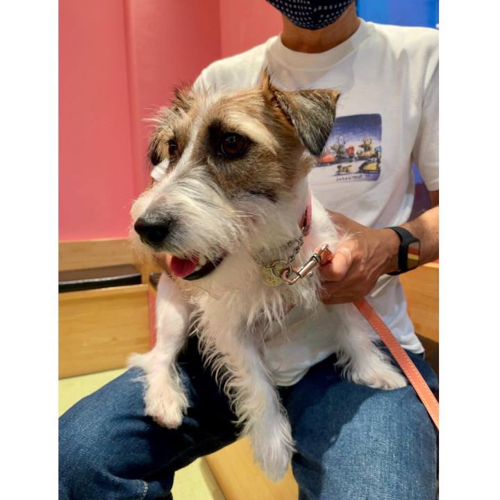 Cc05ea12 0474 4728 9e62 e88381109dec 1627478130787