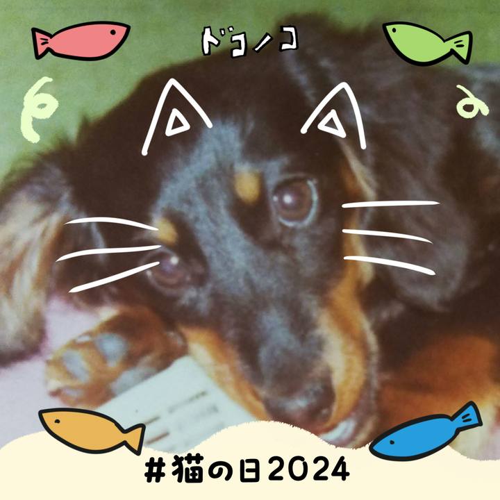 Cc05ef85 fdc2 40ca 8d2e c98829d27117 1708567940875