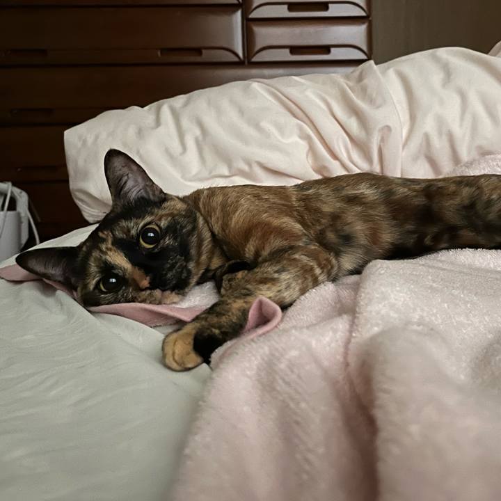 Cc063238 c77a 4de9 afe2 09ccdffc81af 1653686336435