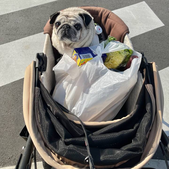 Cc066962 003f 4406 ad46 2271997532c1 1762763906372