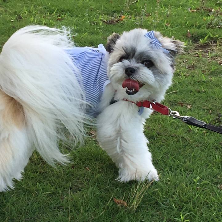 Cc066bfa 3c9a 40b6 8346 f8f5eeed0419 1532850440186