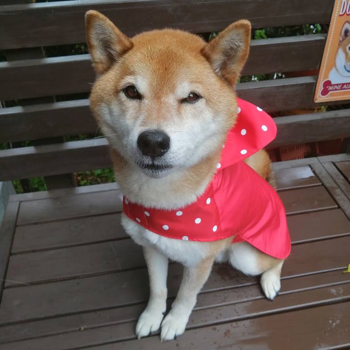 Cc069862 86d5 4a28 abb3 9b0e9f2f68f0 1686451498061