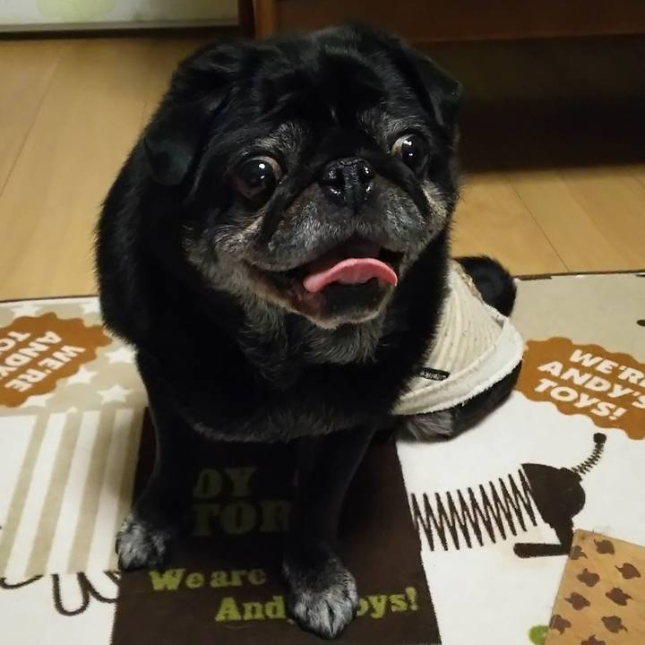 Cc069ed5 65e8 4107 af2c 82ed5bb0fb6e 1576594598530