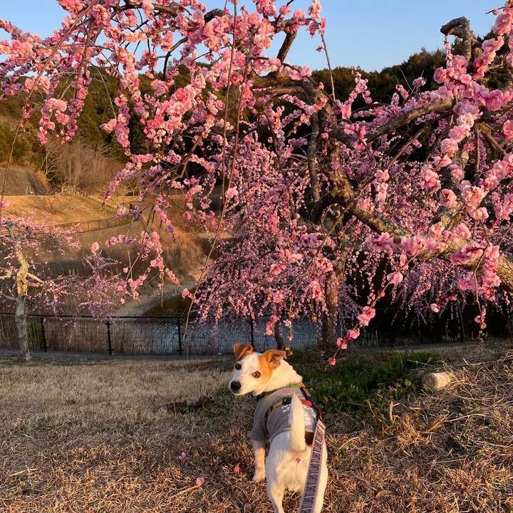 Cc06b962 64ac 49cd 9c8a df4bef3ea5d6 1646215578842