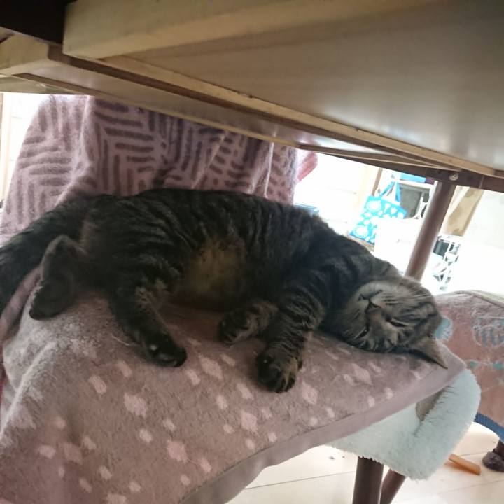 Cc06e491 51ab 4a32 b405 90f14b4bd289 1648331745845