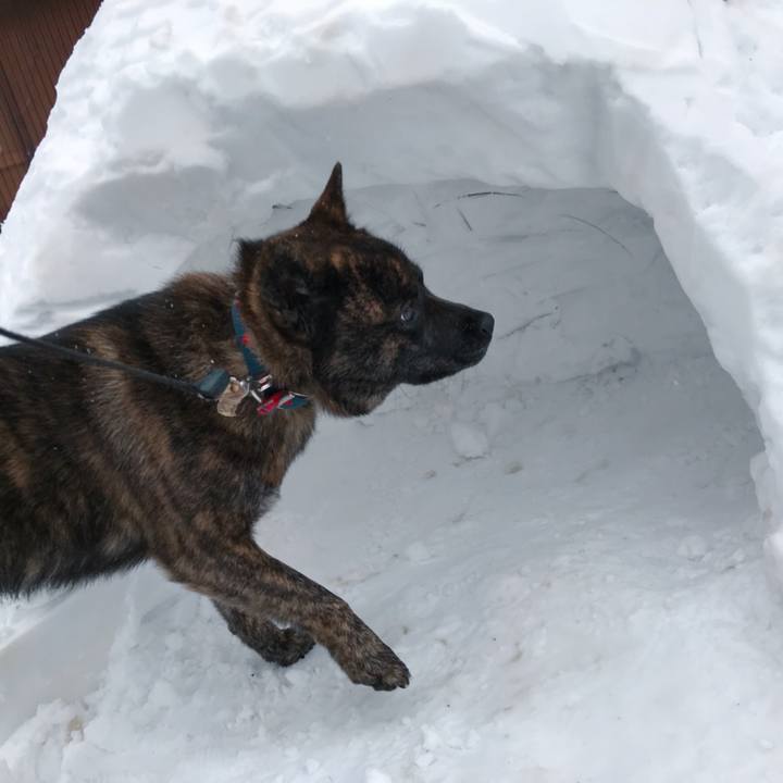 Cc06e635 69c8 4d01 a015 41acc9ea05e2 1517144077693