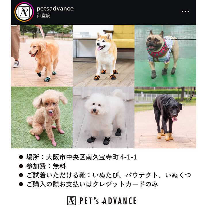 Cc06e900 fb0f 4adc 9ed0 74e271b6dc94 1722863099664