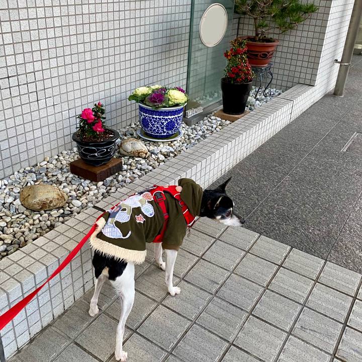 Cc06eeff 73bd 470e 8073 b05f042a8672 1612088681153