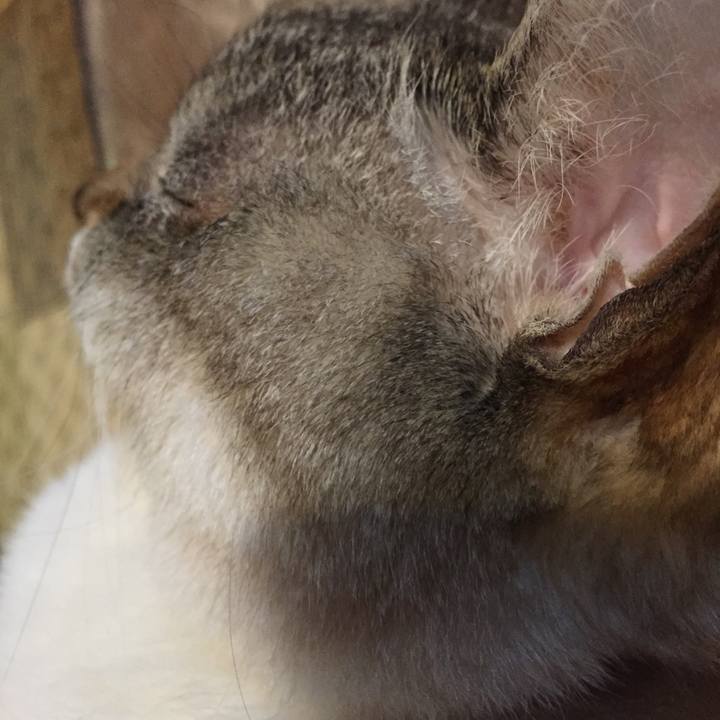 Cc06feb4 09b9 478a 988a a07eb7c87921 1526128130396