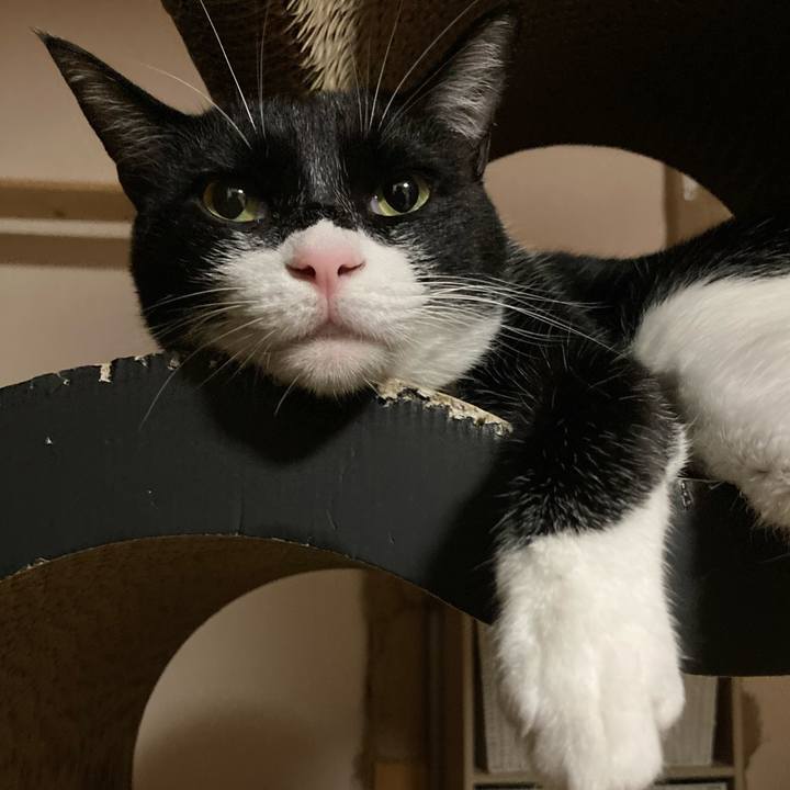 Cc0702a5 0f64 4b76 87d3 8632cb45e1a4 1621440061585