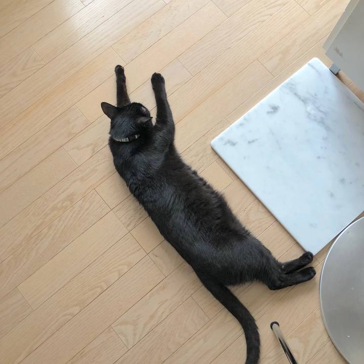 Cc070ed7 2067 4d20 8b92 19e8a695dc74 1526740600883