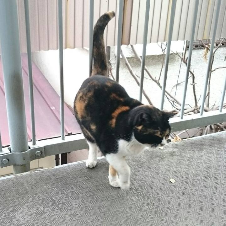 Cc071201 cfad 4f33 8ad4 52768006961c 1517273957427