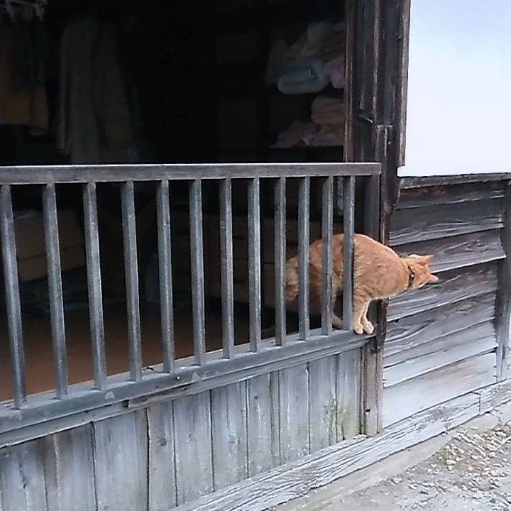 Cc072bfa 963d 4d17 a88c 10c7fa3ec616 1662498306338