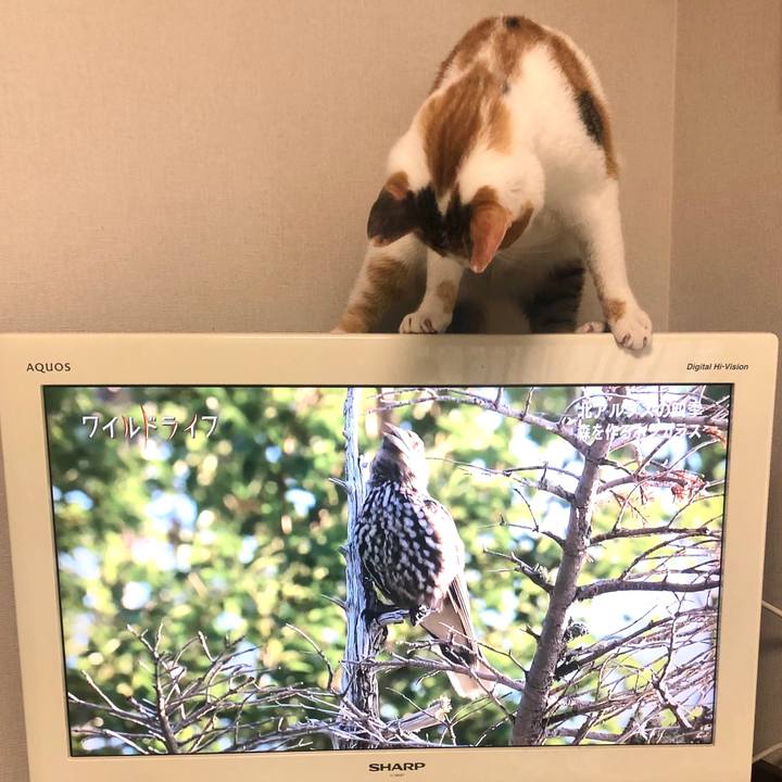 Cc073d10 9761 4e88 96d0 40d0816a56dd 1581753453935