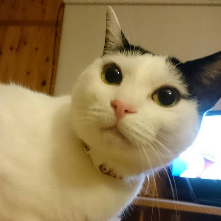 Cc0772e2 df19 4d3f a679 1c3027197787 1512647226480