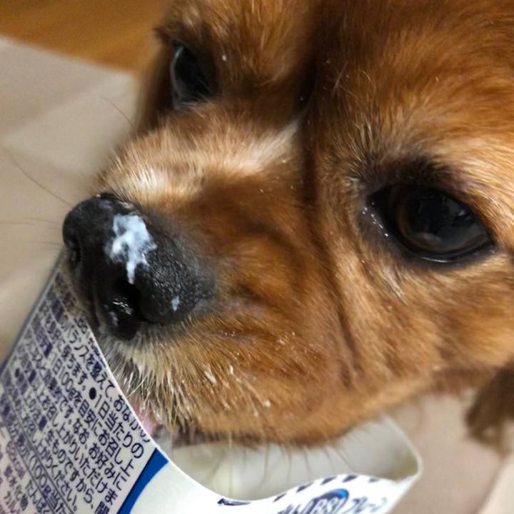 Cc0775cd 145b 4b96 8c08 65faa72d2f36 1602541582065