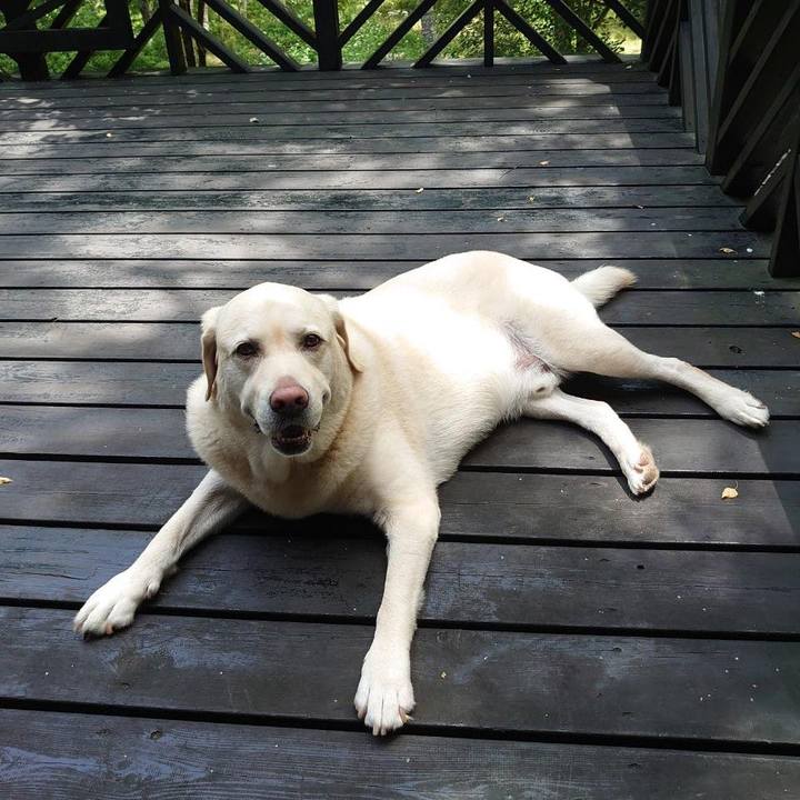 Cc07b803 aca3 4eca bfa5 f84341edb70c 1689651056989