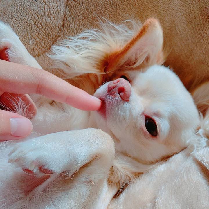 Cc07e56b fd29 42bd ad2e d978cb175d80 1626841224061