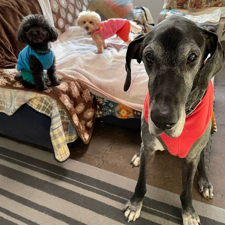 Cc07ed22 6fcf 49a5 8b36 2b73c0cb7636 1644359450154