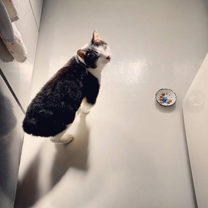 Cc07fece 87cc 4d34 836a 12419d7df91e 1614484443348