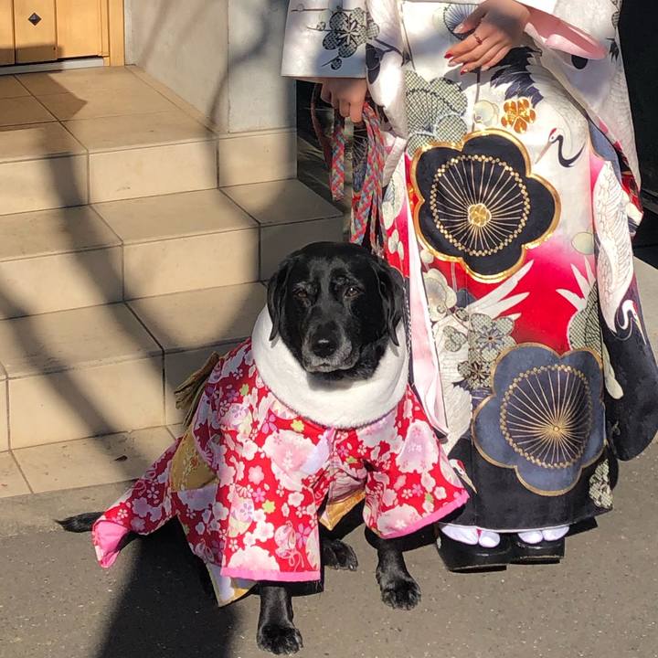 Cc087cbe 64ed 4a4d 99b6 6d10da48fa88 1578889647626