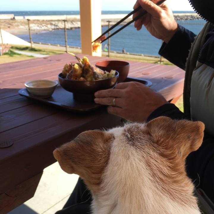 Cc088e90 3d47 42e4 8719 9ab0a96f9076 1510412375711