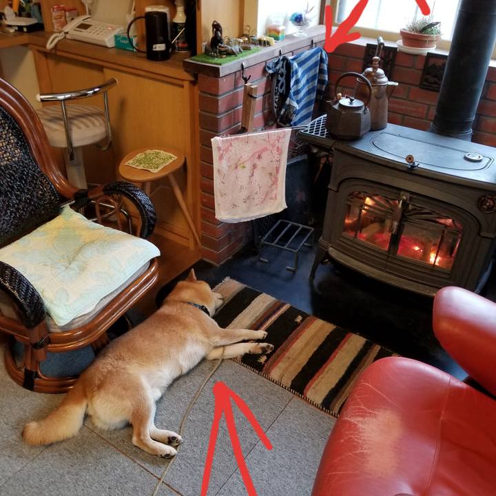 Cc08c5fc 0e39 4dde ba08 aba1258b2d8a 1578462135169