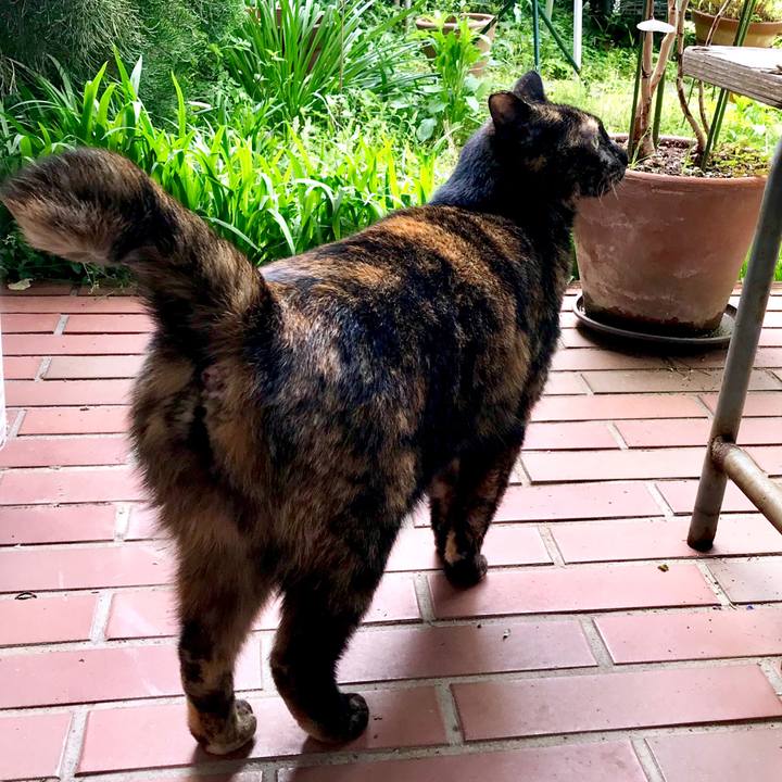 Cc08e179 0957 4450 af2d 8983d0a8da75 1524712763875