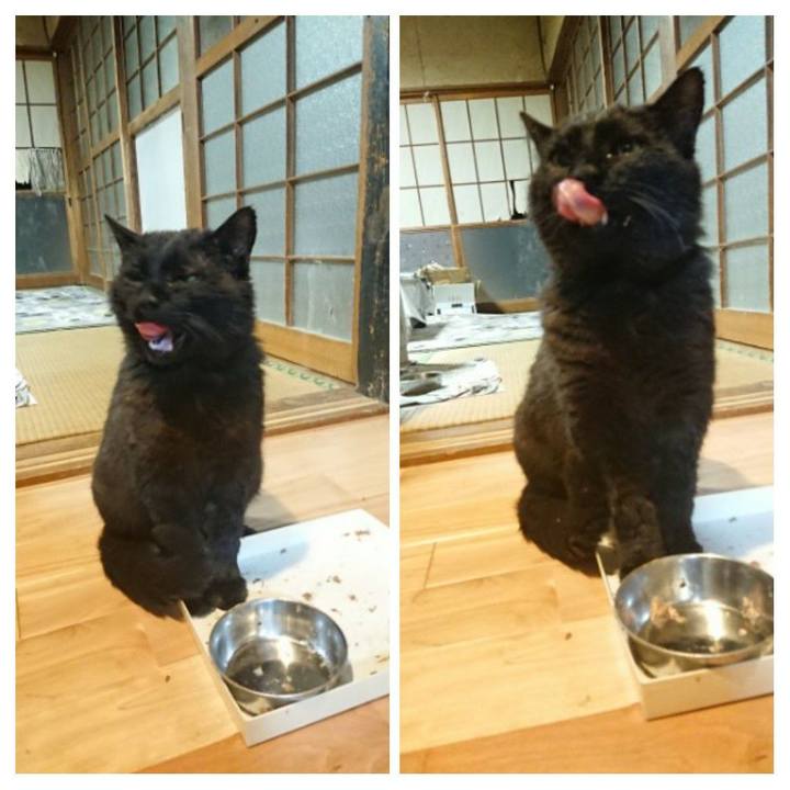 Cc08e690 d58f 4db5 9357 9988b53e33af 1621162918041