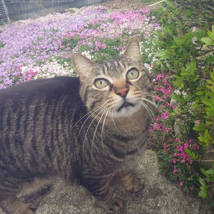 Cc08f759 0355 4ad2 8f98 3ef48d9dfd6a 1712220861179