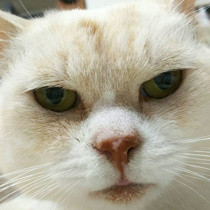 Cc09051c 53e2 4d84 8092 b46e4982609f 1560087876654