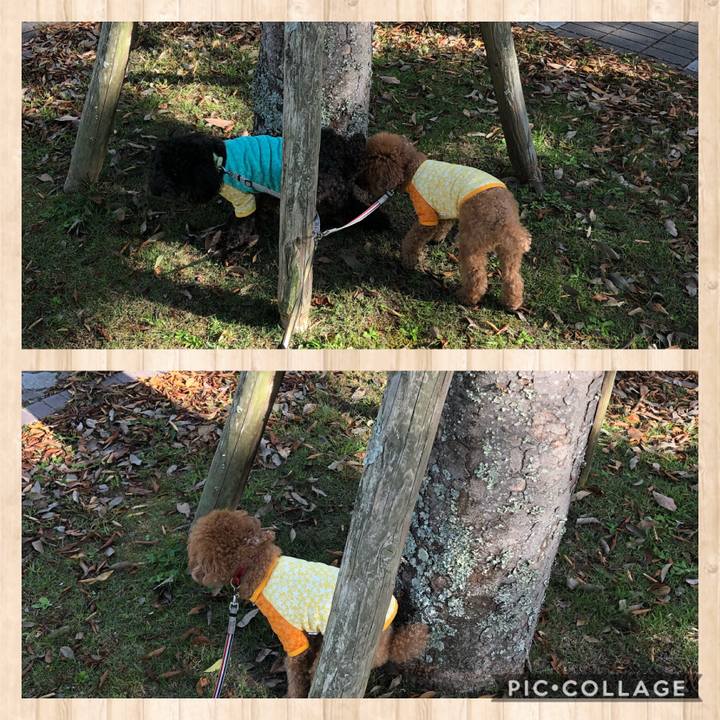 Cc09075d e30f 4ec5 87bb b345b2ec8c00 1602149244185