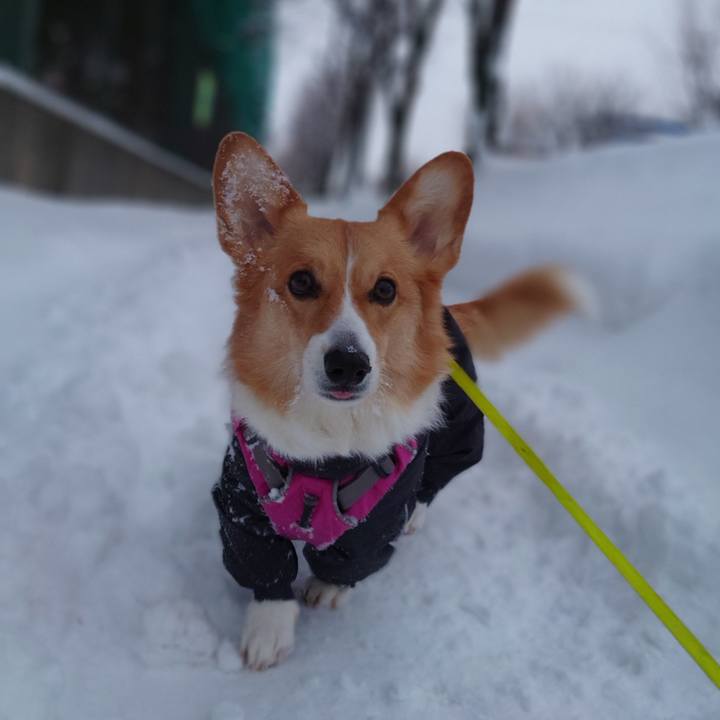 Cc09106a 74e8 4232 bf73 d961137c390f 1768260855896