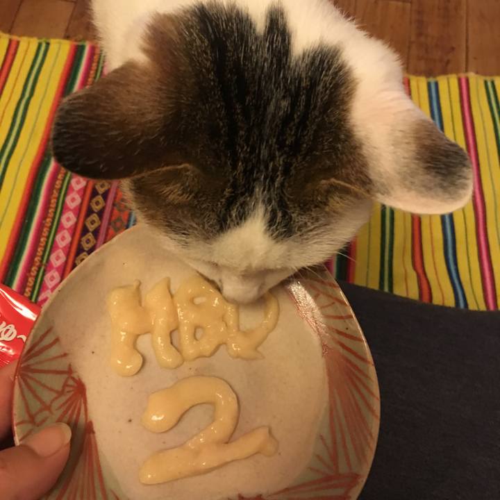 Cc093373 35eb 4f28 9254 42208cdc571d 1537845336763