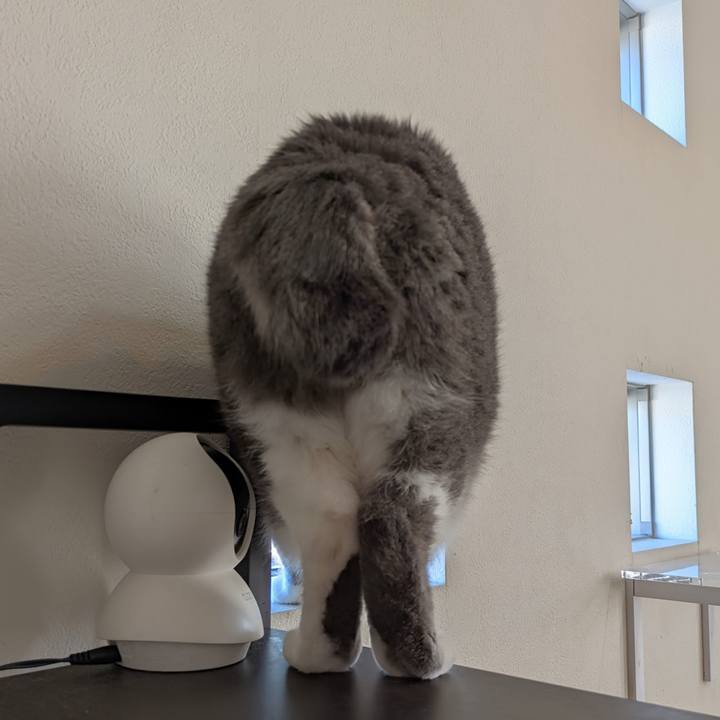 Cc09477a a862 47ce ab7b b7f61d50cc9f 1732251214891