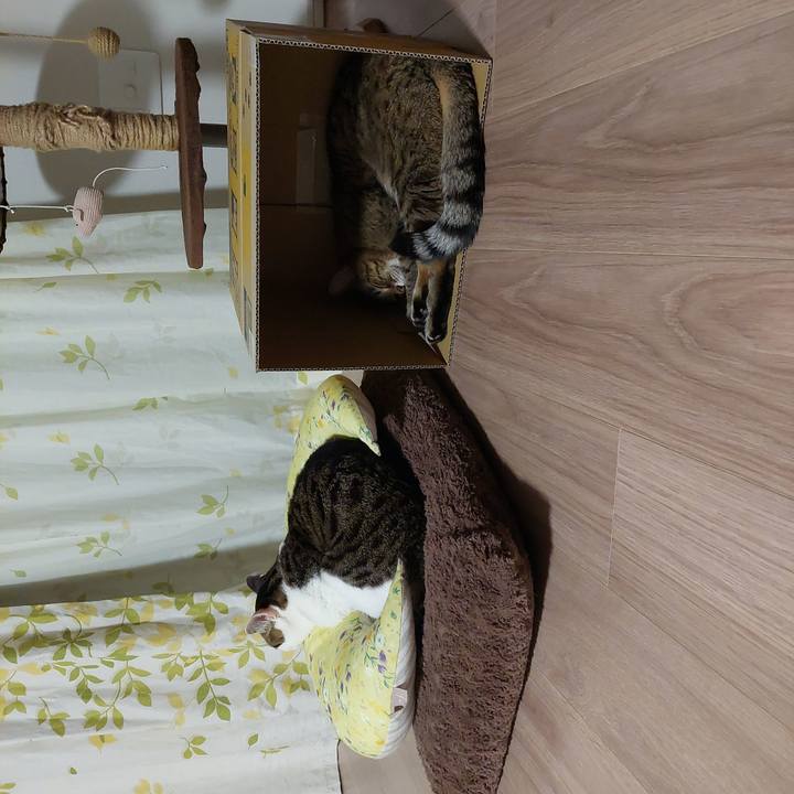 Cc0958a7 d39a 4e5f b2f8 bb31af461746 1769686953899