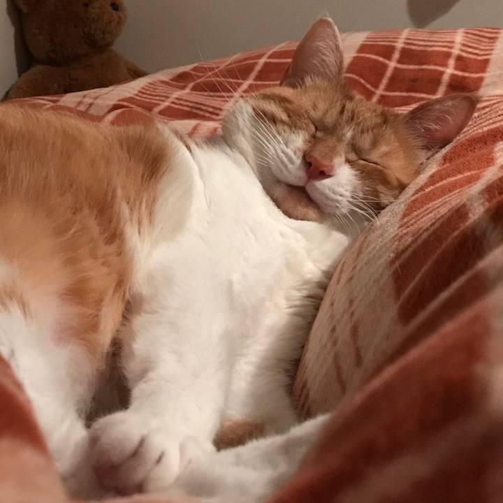 Cc097757 ca44 41d2 8317 31528fb99de8 1554430818998