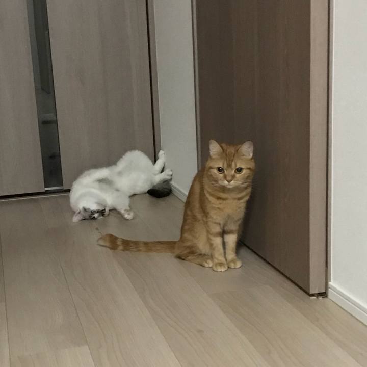 Cc098385 d21e 4d40 8afb 43e09721946f 1525517349736