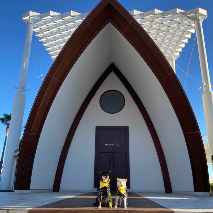 Cc09b151 051b 48b7 8654 ea2de1484ab3 1700022139115