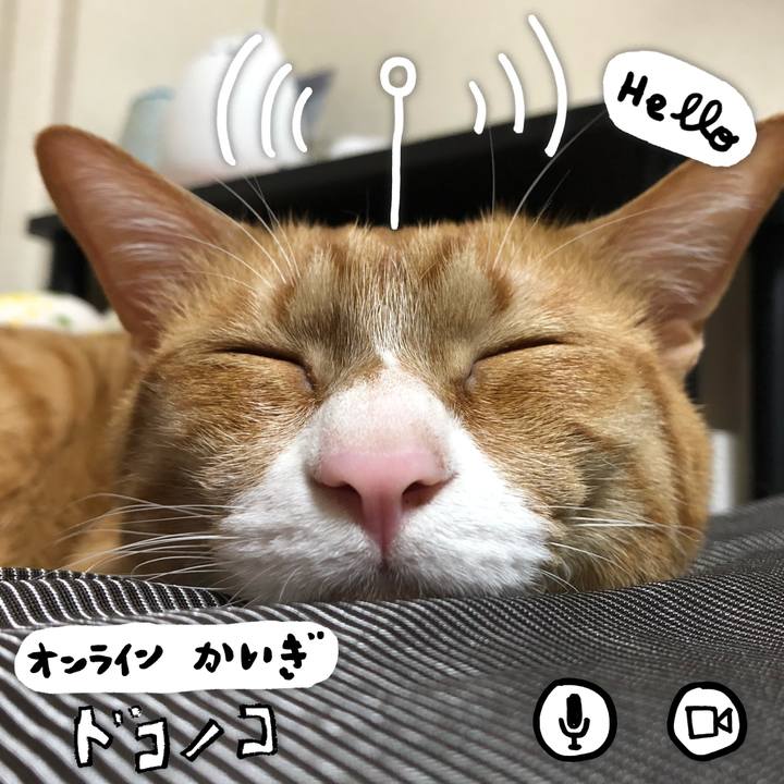 Cc09bb91 a404 4357 a855 20a19c1a7cbc 1591183013241