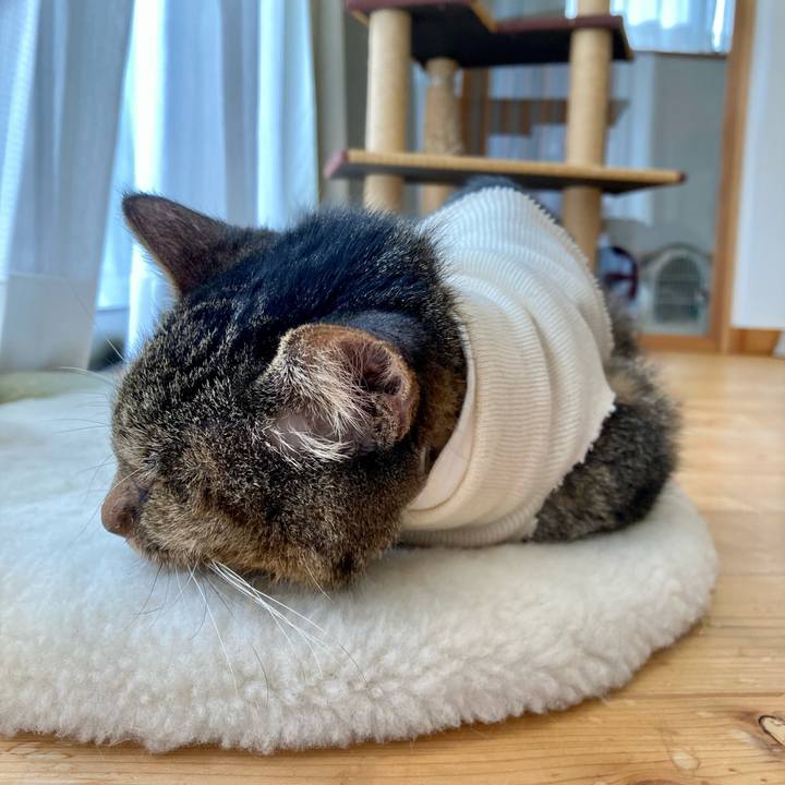 Cc09c480 fd1a 4100 9761 dec32785be68 1688175509831