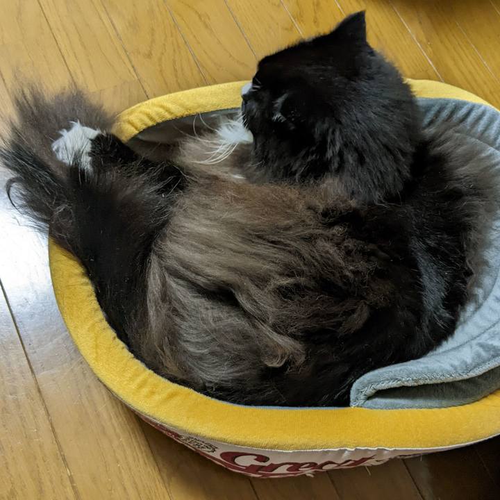 Cc09d7bf 5a4c 4358 aa7c e38dc4521dd2 1668205486431