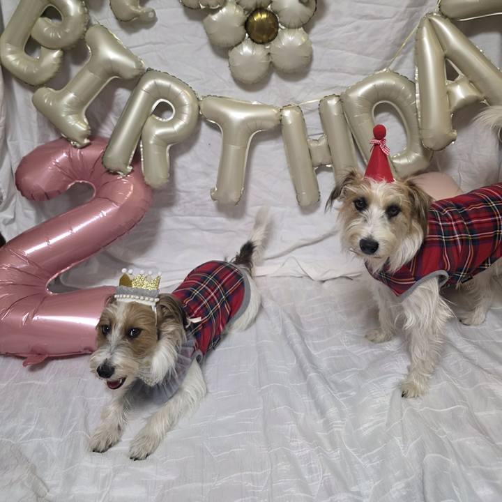 Cc09f8b7 d342 48fd b70a 5471fa022645 1762681059125