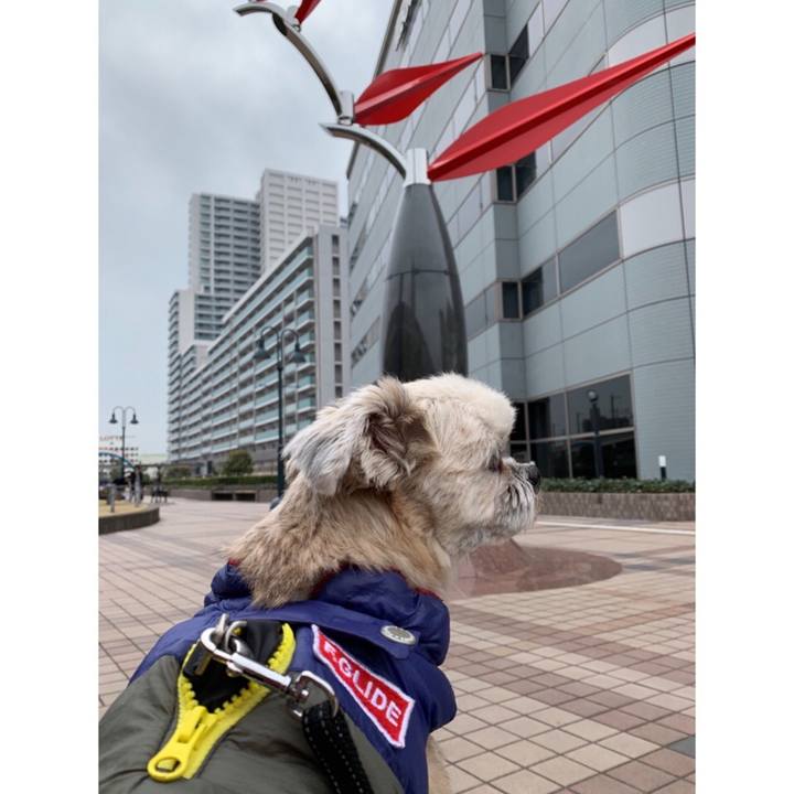 Cc0a67f7 51b8 4f13 bbfb 8f2c22e3678e 1551861687111