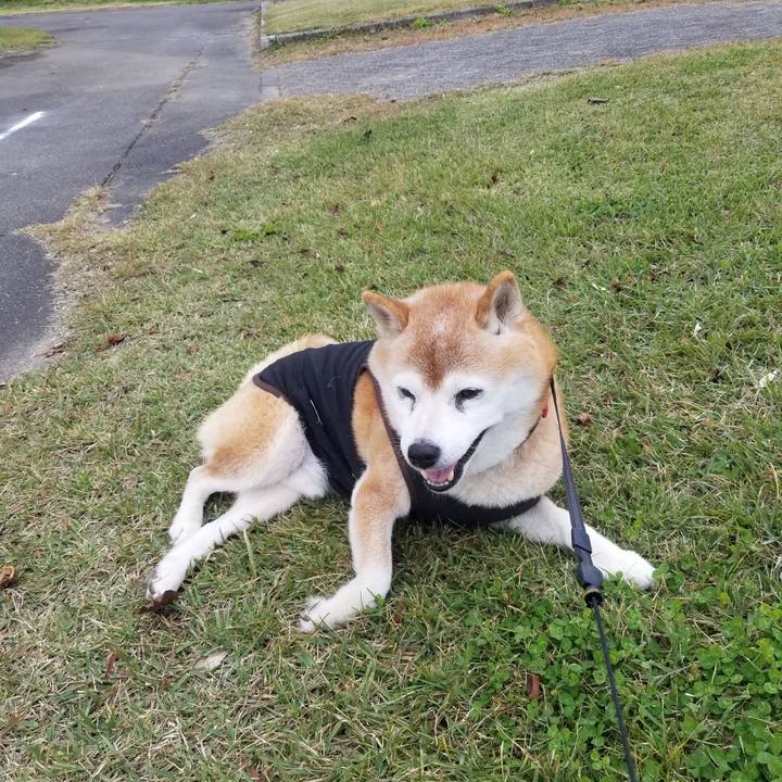 Cc0a8894 23d1 405b 818a be05d42de5cd 1731647088716