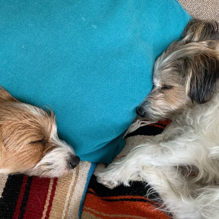 Cc0a9e33 00d5 4d9d 905e d48dadf3d79d 1763474184418